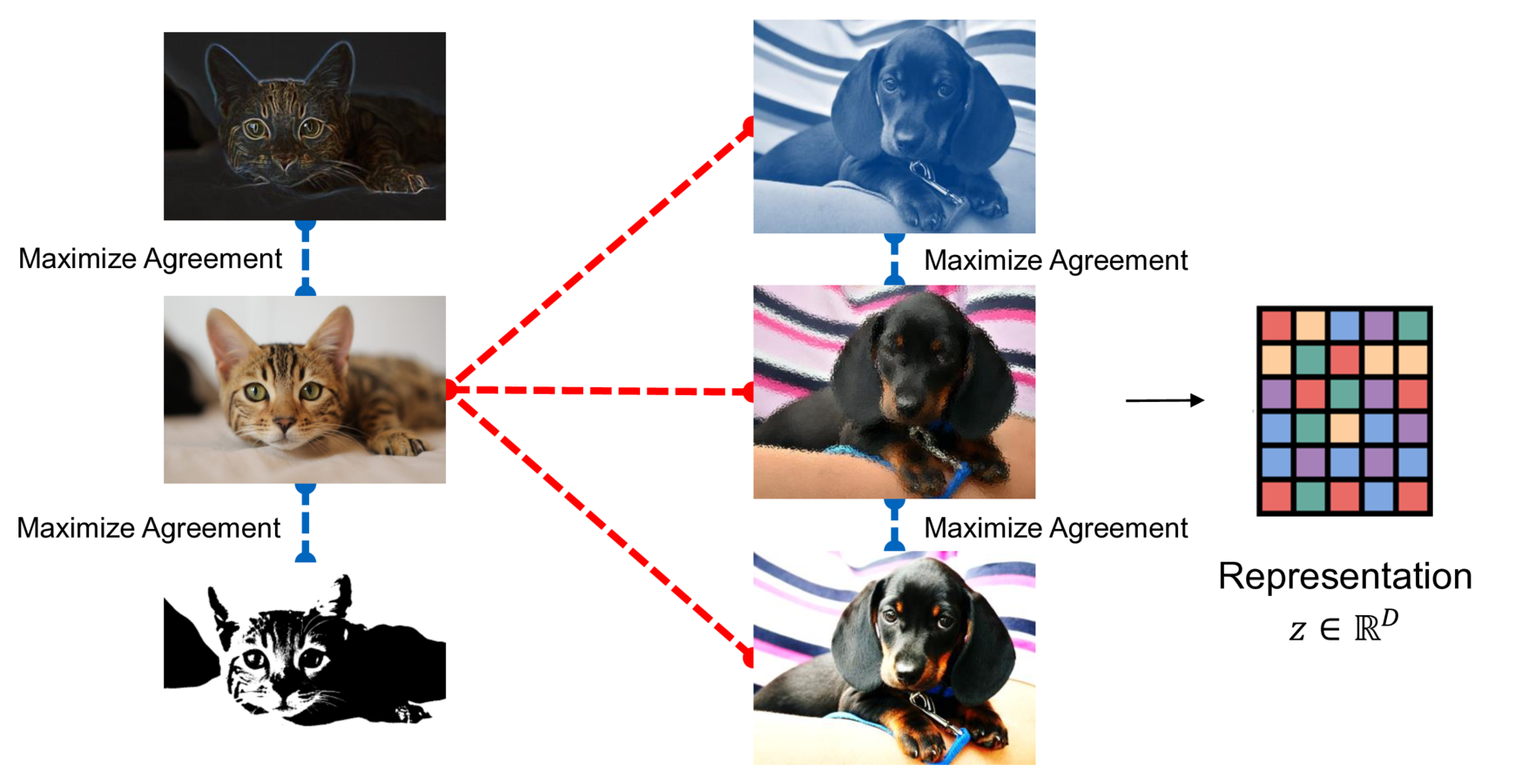 Graph Contrastive Learning | Michael Plainer